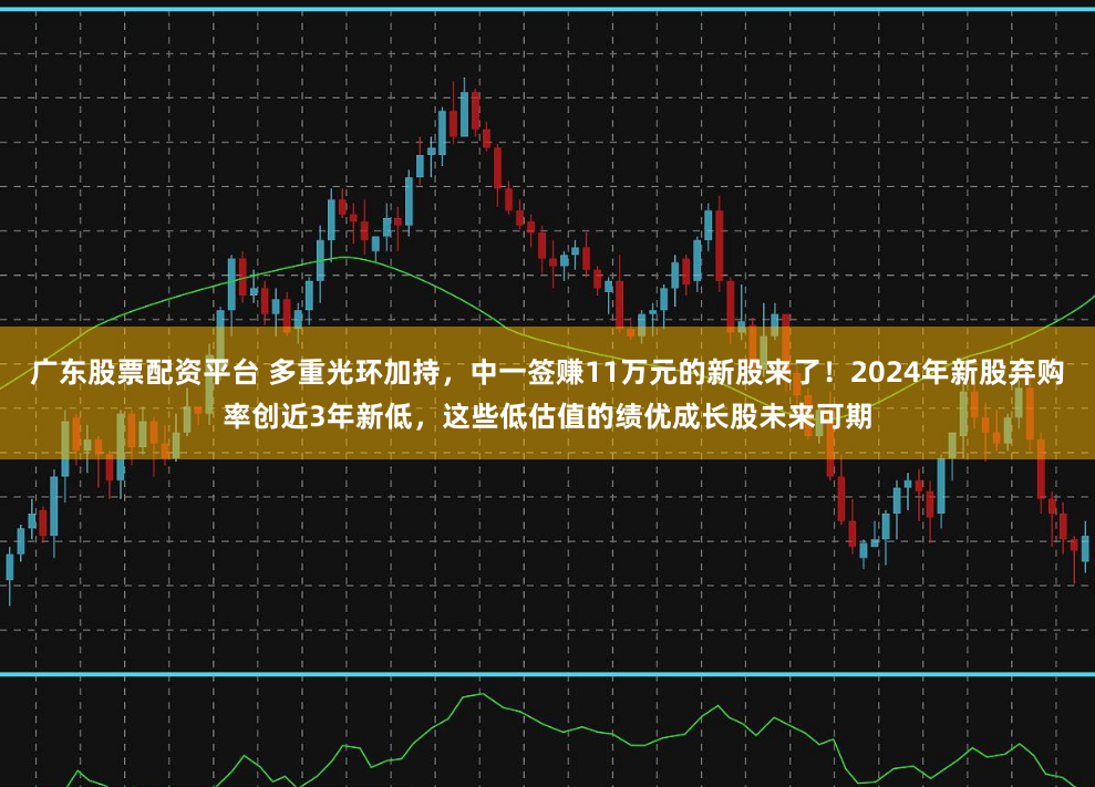 广东股票配资平台 多重光环加持，中一签赚11万元的新股来了！2024年新股弃购率创近3年新低，这些低估值的绩优成长股未来可期