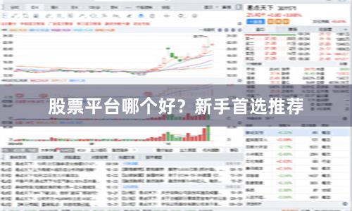 股票平台哪个好？新手首选推荐