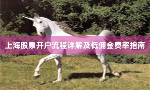 上海股票开户流程详解及低佣金费率指南